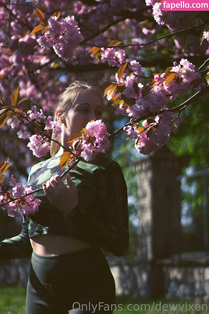 dewvixen Onlyfans Photo Gallery 