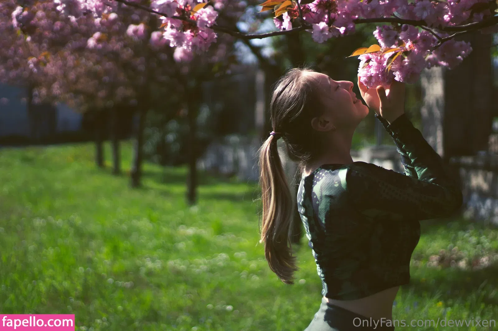 dewvixen Onlyfans Photo Gallery 