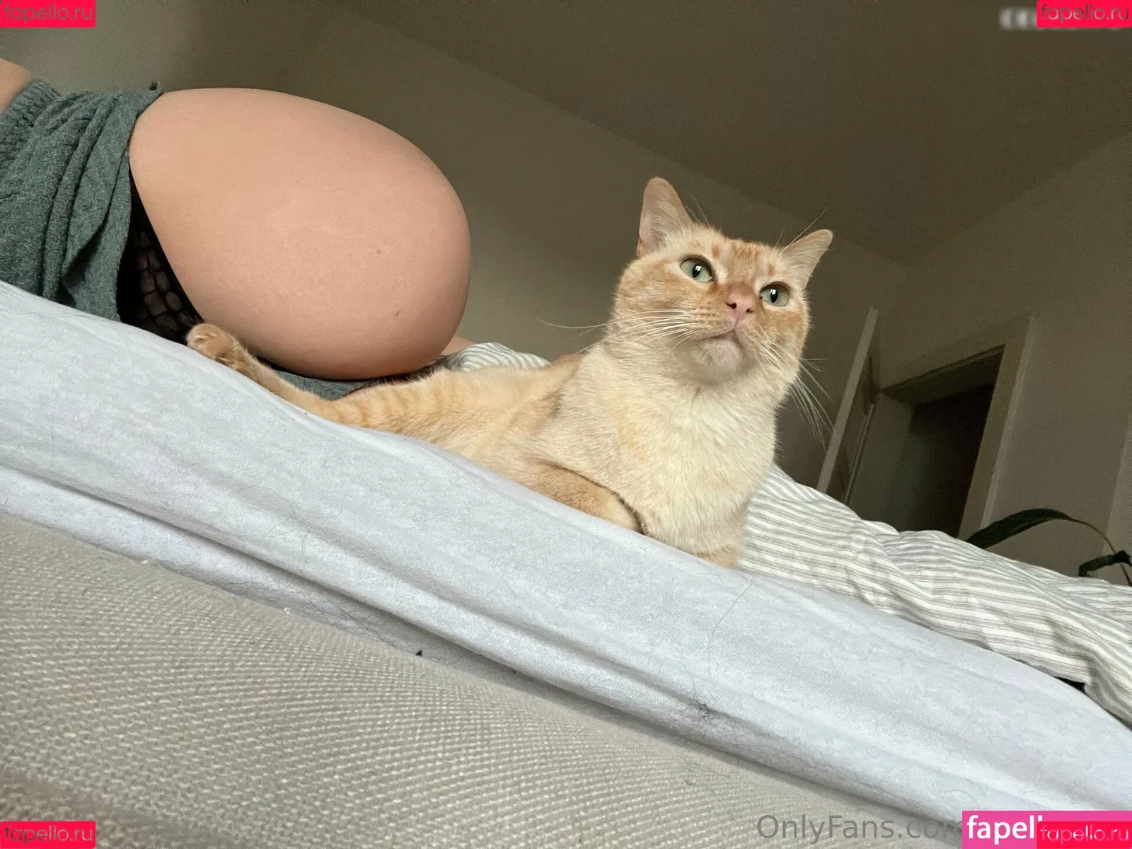 Lizyrubinspicy Onlyfans Photo Gallery 