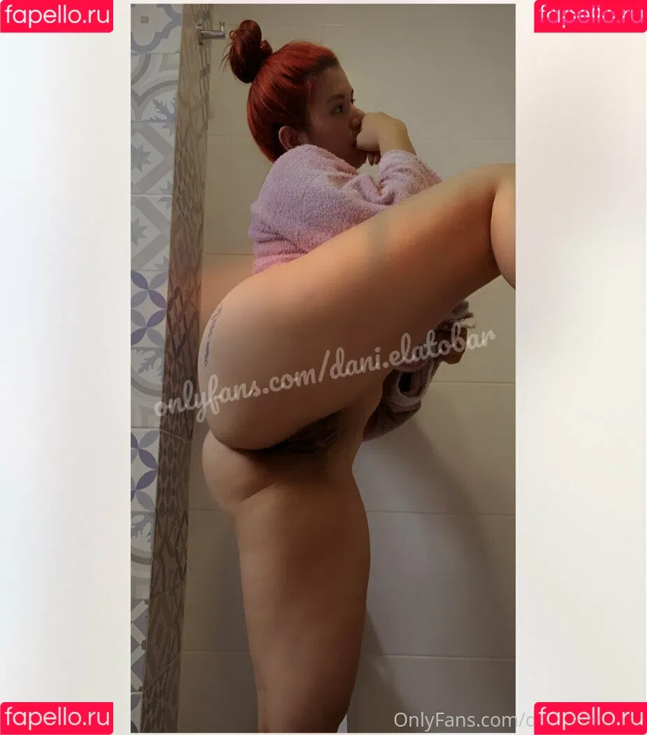 Dani_elatobar Onlyfans Photo Gallery 