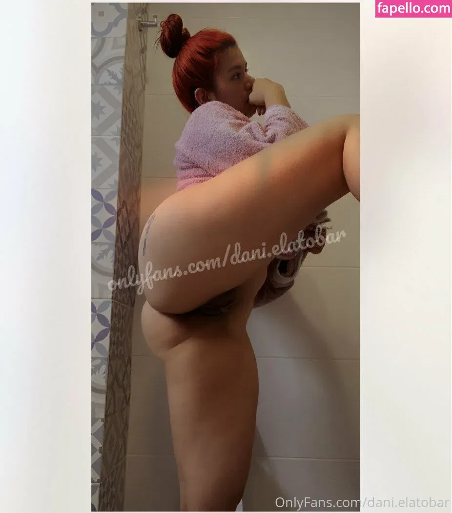 Dani_elatobar Onlyfans Photo Gallery 