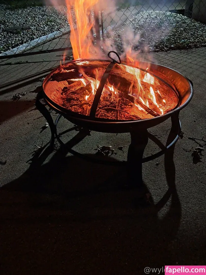 wyldwoman51 Onlyfans Photo Gallery 