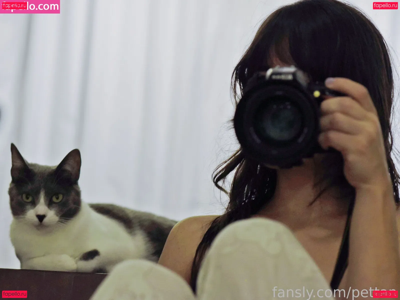 pettan Onlyfans Photo Gallery 