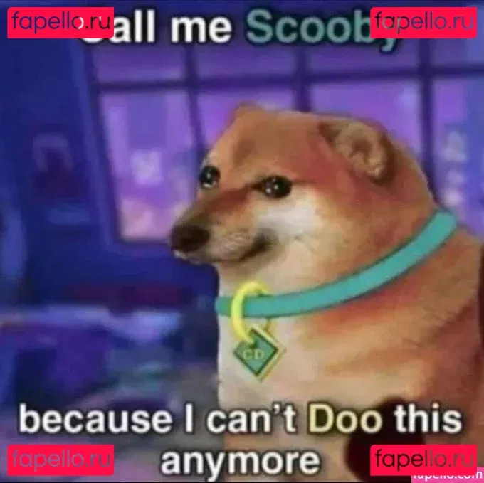 Cute__foxy Onlyfans Photo Gallery 