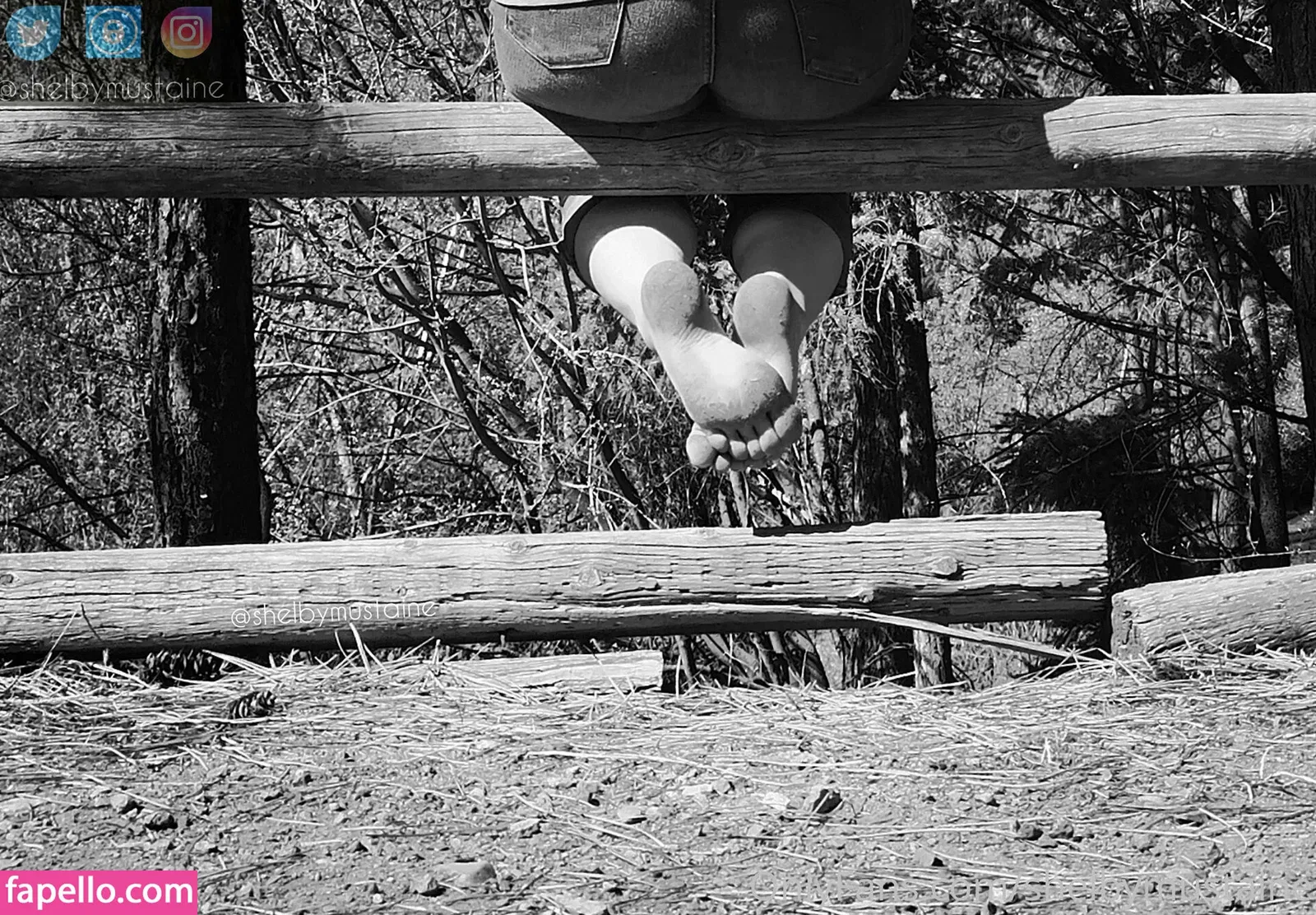 shelbymustaine Onlyfans Photo Gallery 