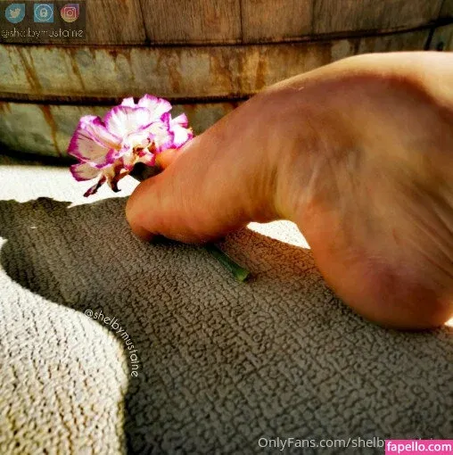 shelbymustaine Onlyfans Photo Gallery 