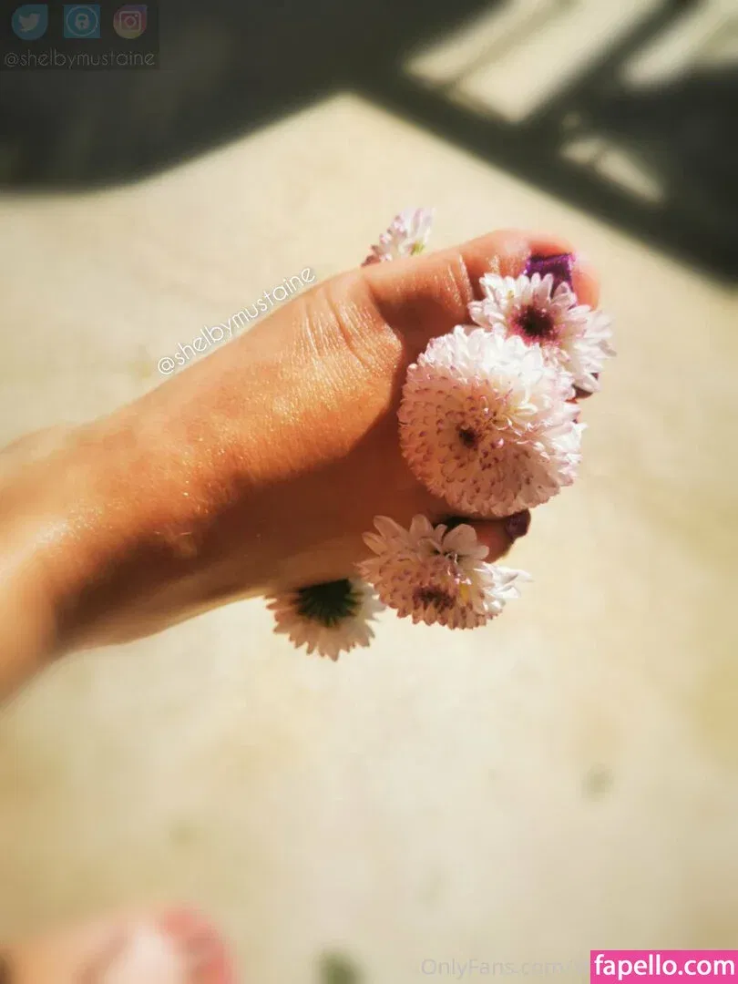 shelbymustaine Onlyfans Photo Gallery 