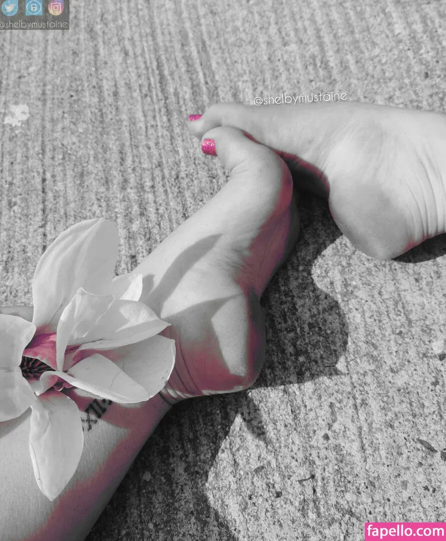 shelbymustaine Onlyfans Photo Gallery 