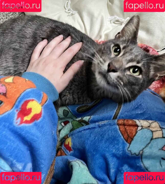 Tanya Kozina Onlyfans Photo Gallery 