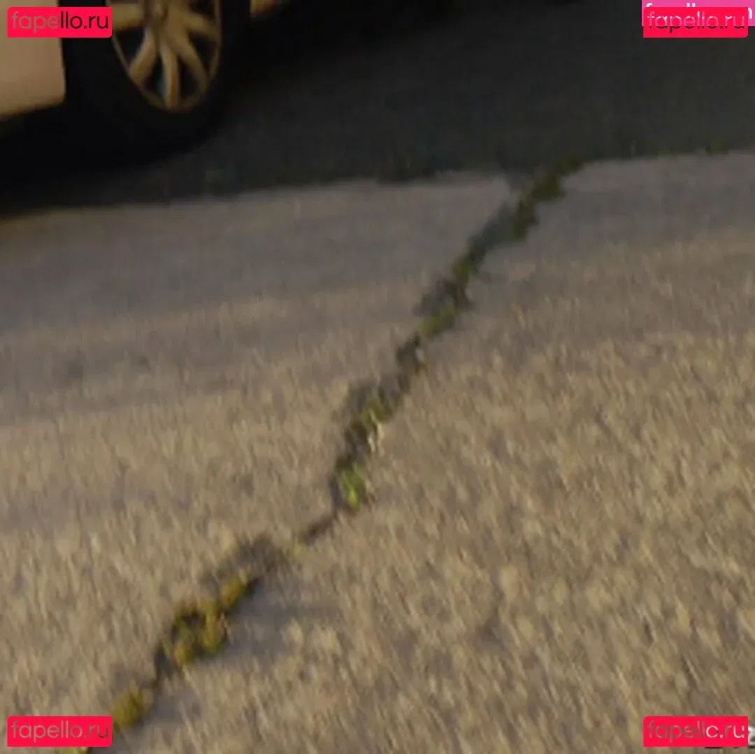 Claire Dames Onlyfans Photo Gallery 