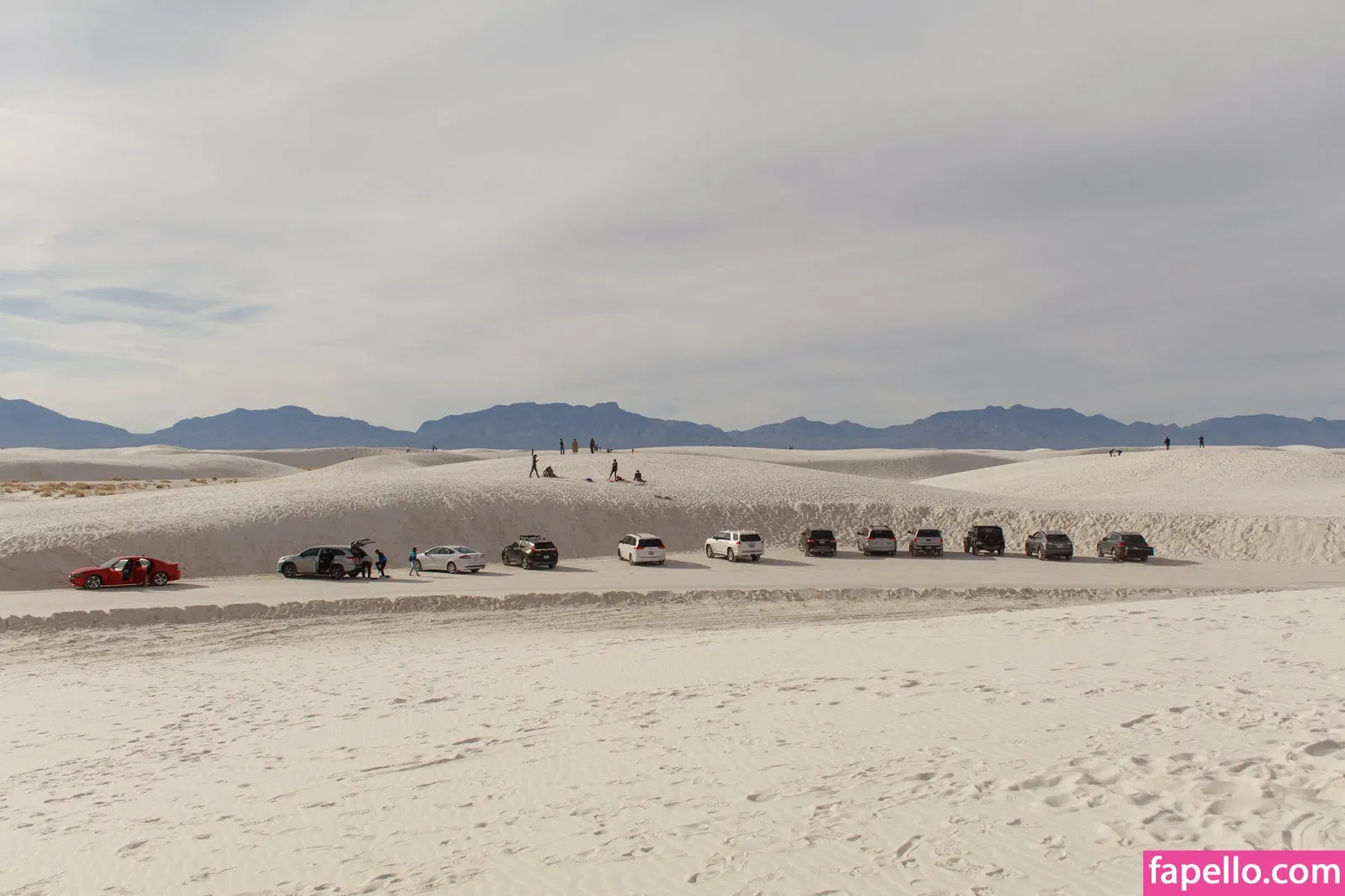 Zishy Onlyfans Photo Gallery 