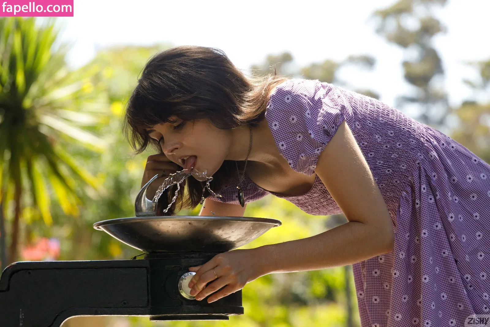 Zishy Onlyfans Photo Gallery 