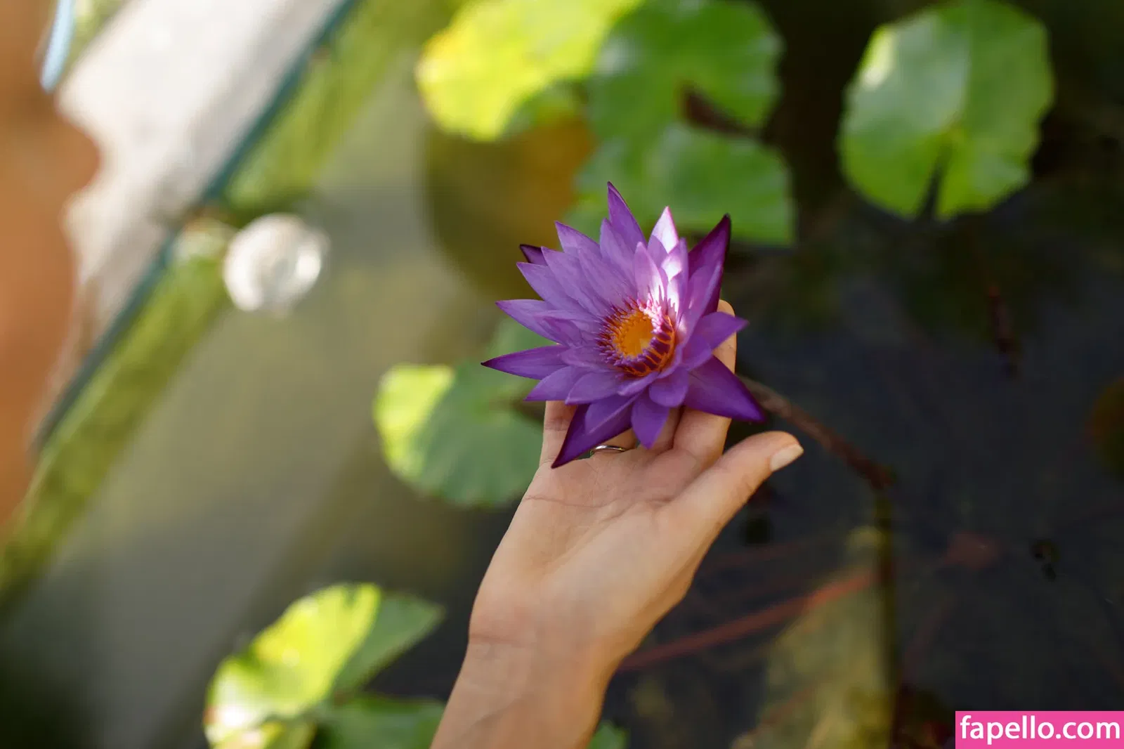 Zishy Onlyfans Photo Gallery 