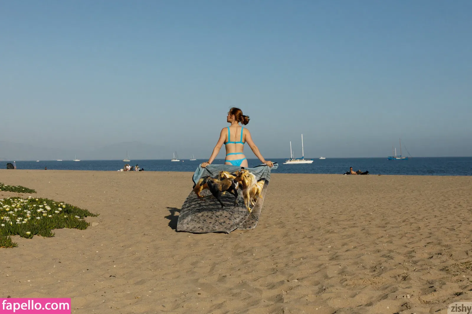 Zishy Onlyfans Photo Gallery 