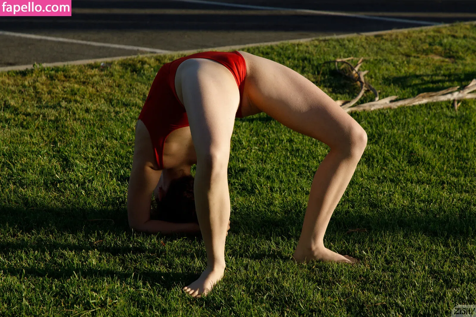 Zishy Onlyfans Photo Gallery 