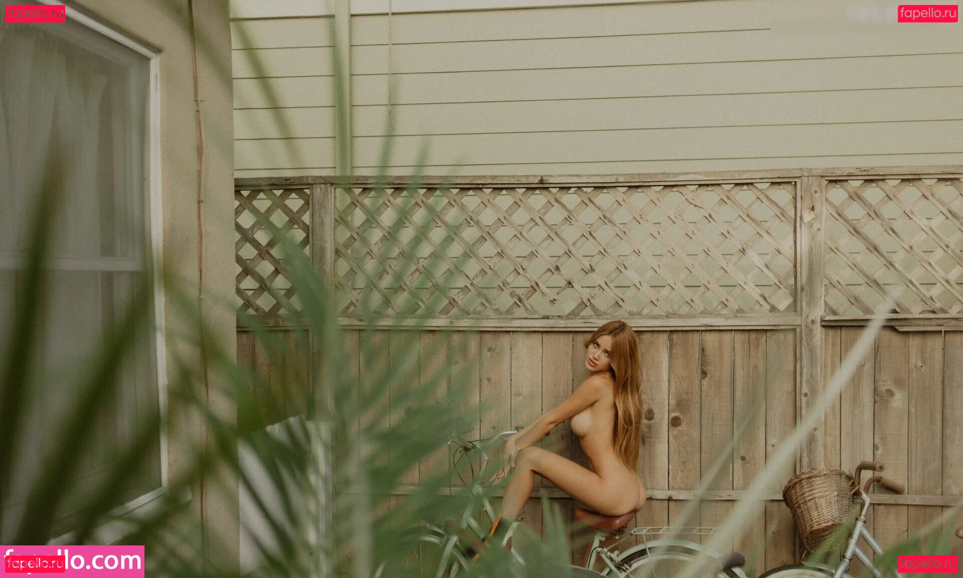 Breeanaf Onlyfans Photo Gallery 