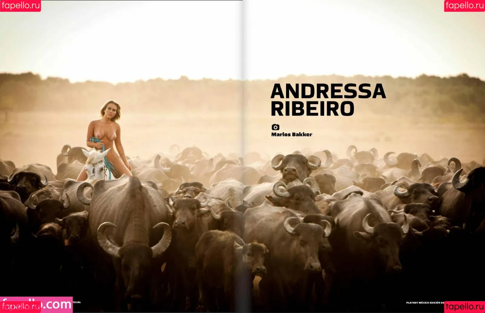 Andressa Ribeiro Onlyfans Photo Gallery 