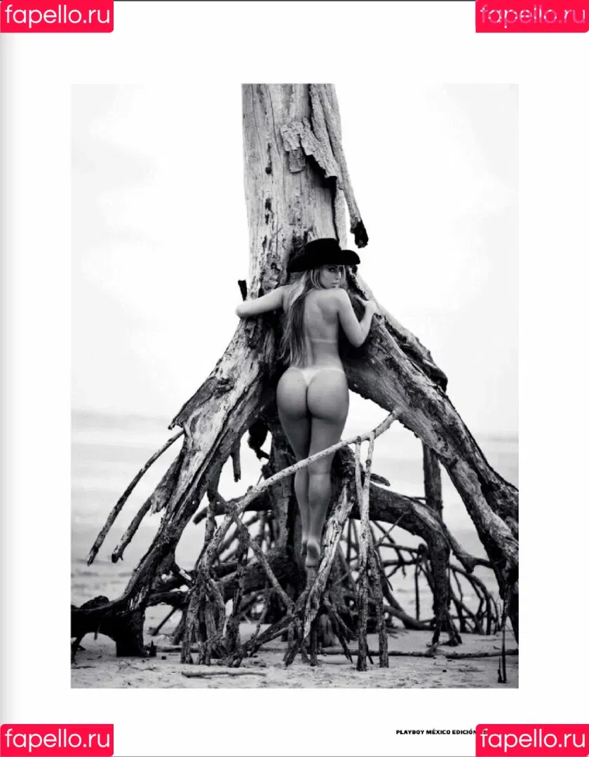 Andressa Ribeiro Onlyfans Photo Gallery 