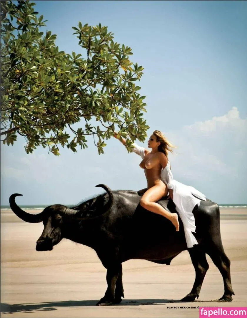 Andressa Ribeiro Onlyfans Photo Gallery 