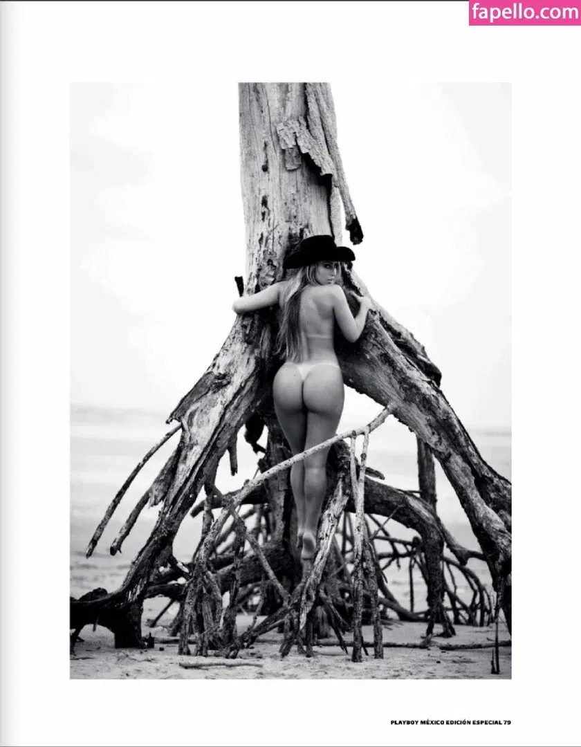 Andressa Ribeiro Onlyfans Photo Gallery 