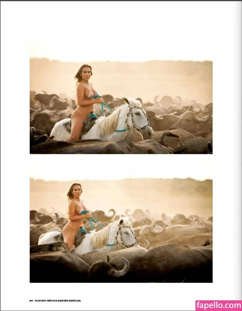 Andressa Ribeiro Onlyfans Photo Gallery 