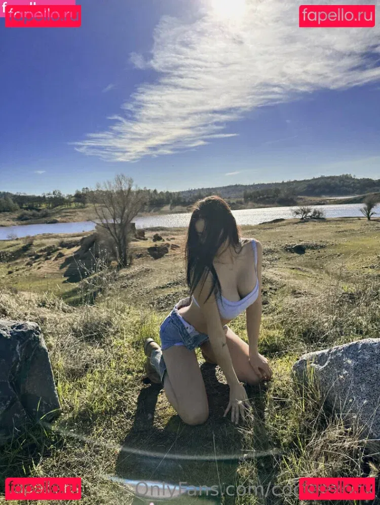 Bri Cookie Onlyfans Photo Gallery 