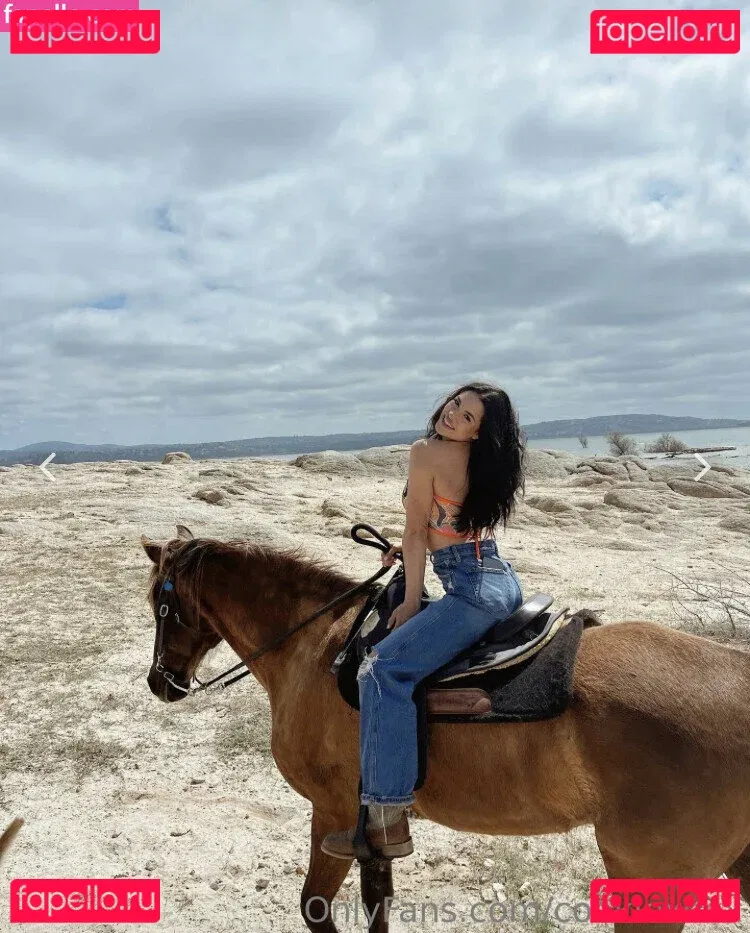 Bri Cookie Onlyfans Photo Gallery 