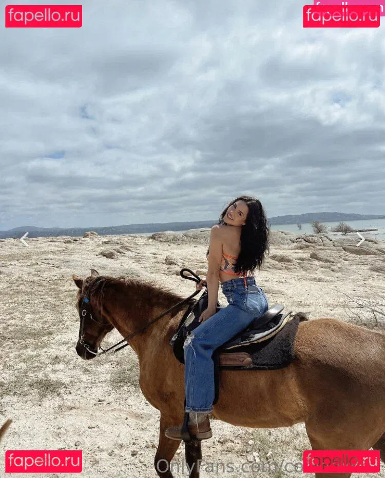 Bri Cookie Onlyfans Photo Gallery 