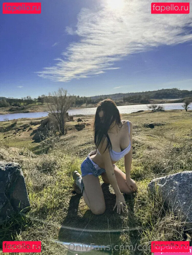 Bri Cookie Onlyfans Photo Gallery 