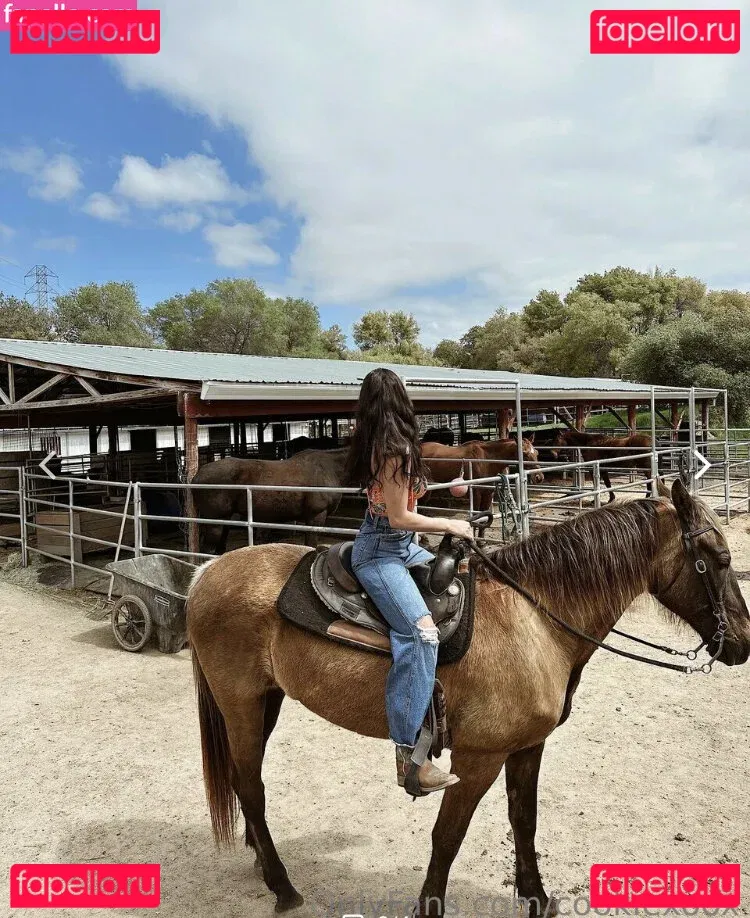 Bri Cookie Onlyfans Photo Gallery 