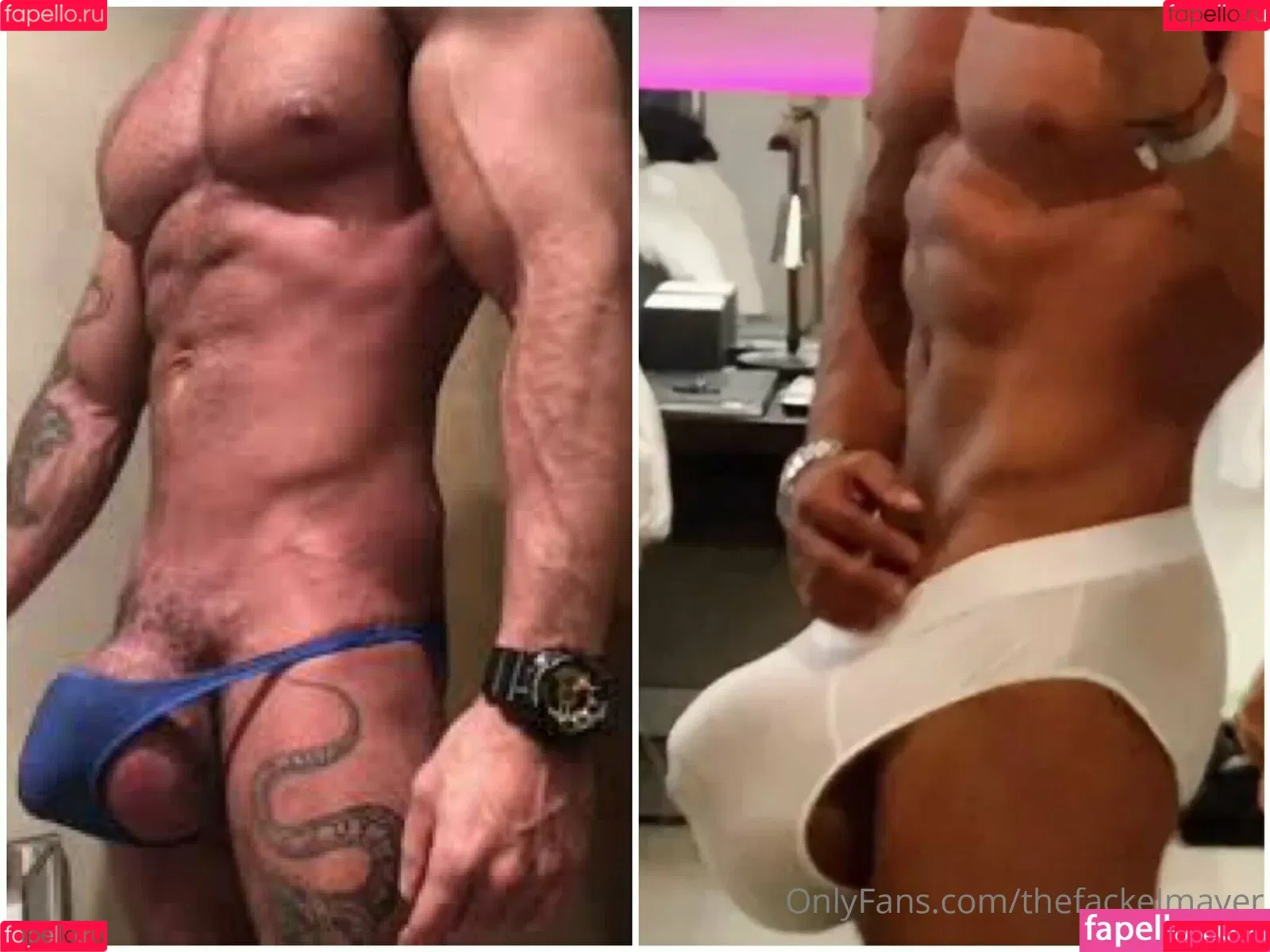 thefackelmayer Onlyfans Photo Gallery 