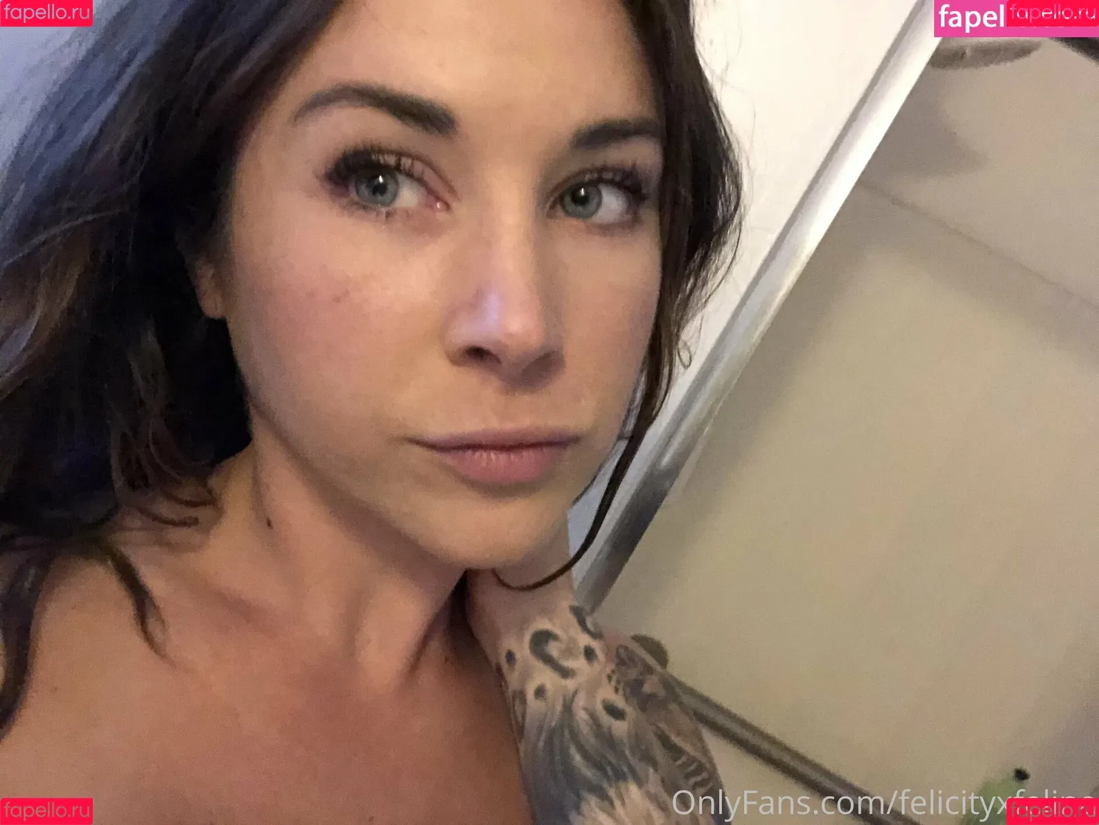 felicityfeline Onlyfans Photo Gallery 