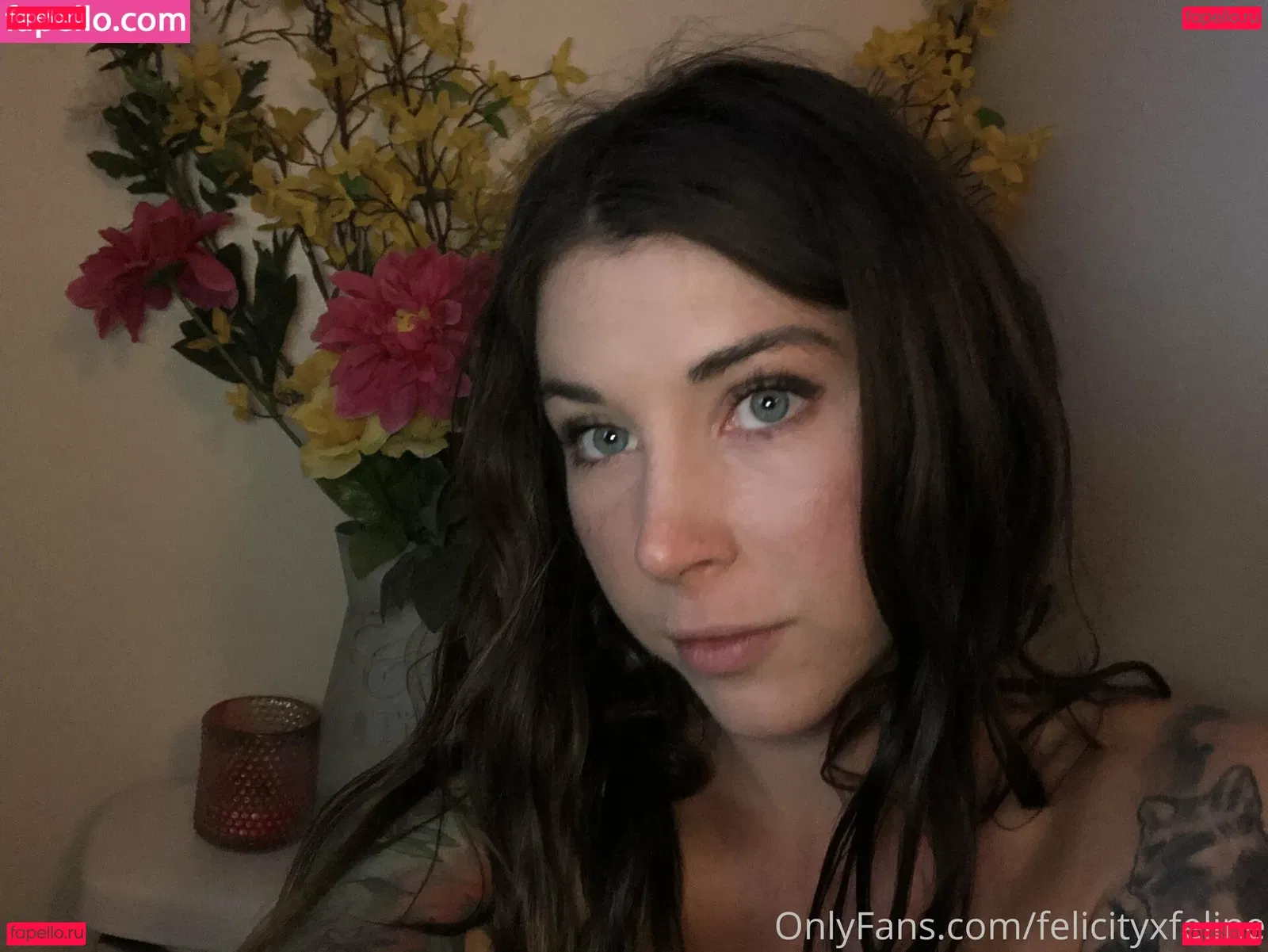 felicityfeline Onlyfans Photo Gallery 