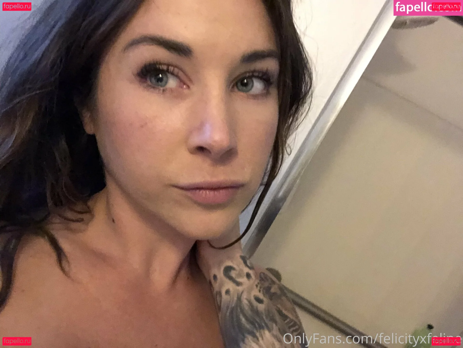felicityfeline Onlyfans Photo Gallery 