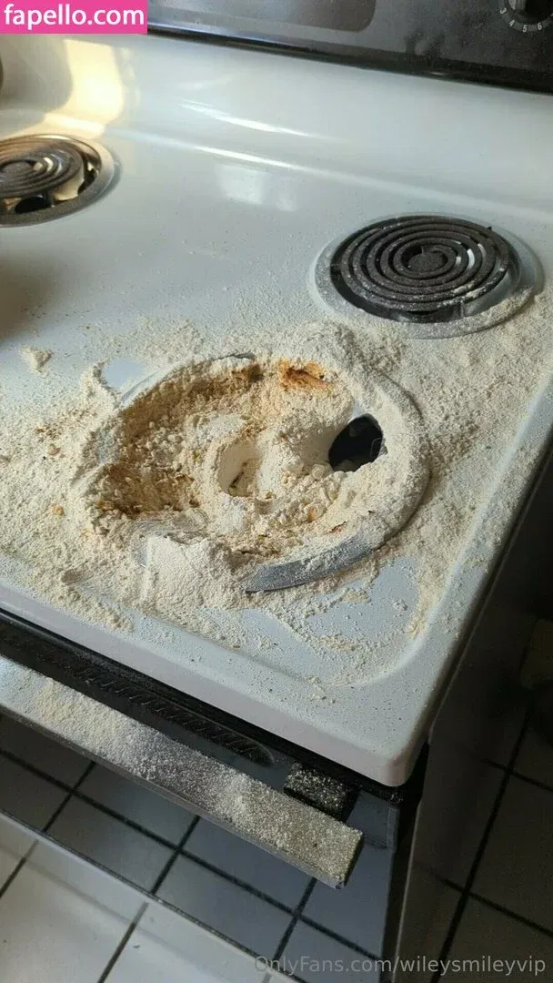 wileysmileyvip Onlyfans Photo Gallery 