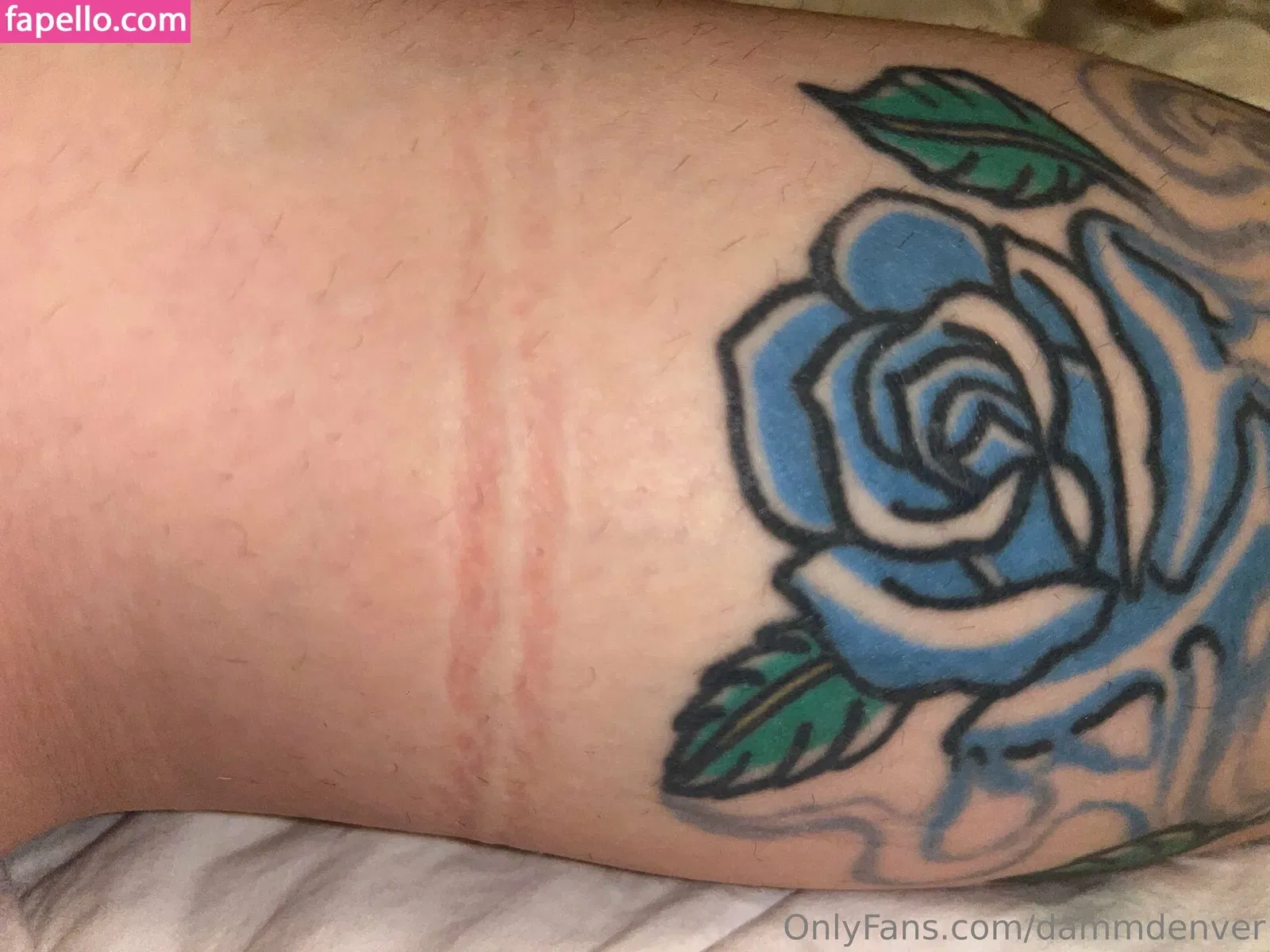 dammdenver Onlyfans Photo Gallery 