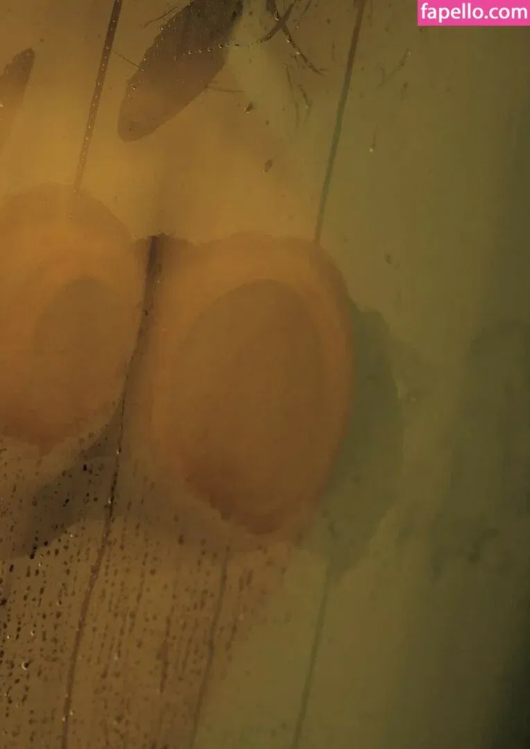 Jun Amaki Onlyfans Photo Gallery 