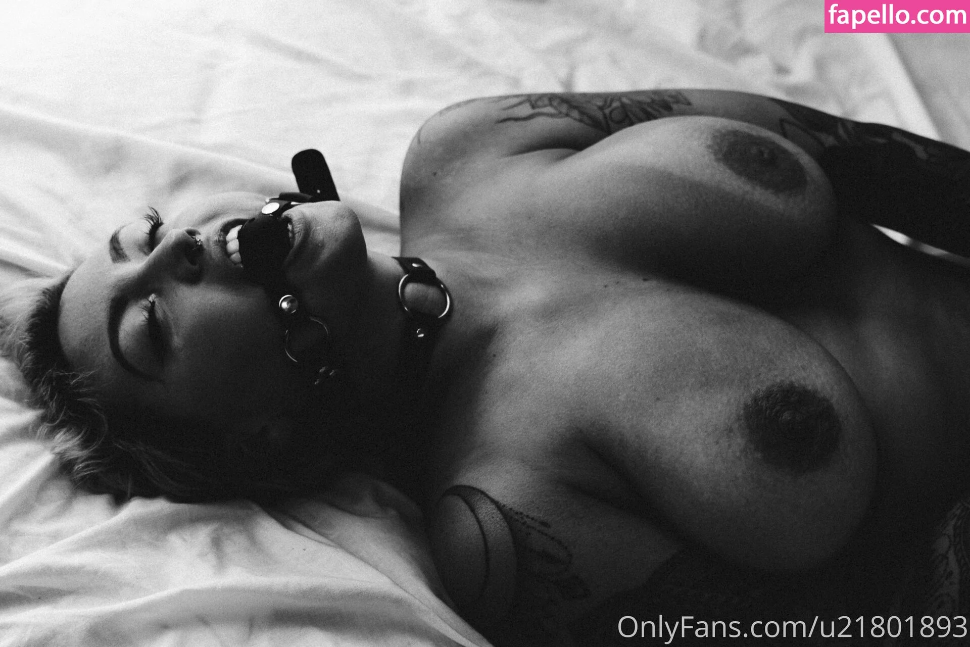 luna_luana Onlyfans Photo Gallery 