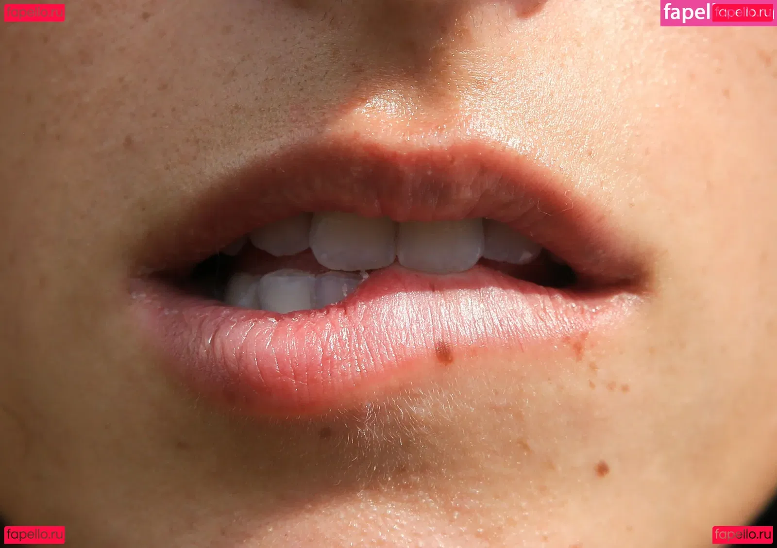 Giulia Finocchi Onlyfans Photo Gallery 