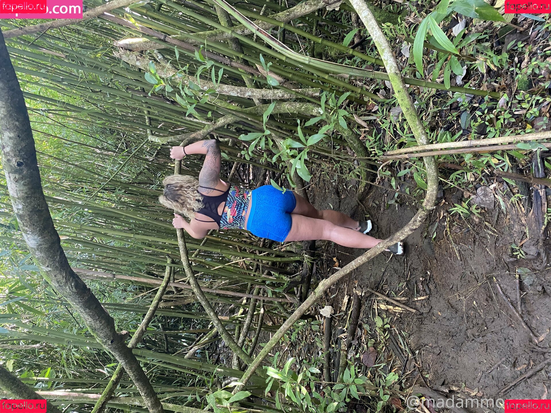 thecurvyqueen01 Onlyfans Photo Gallery 