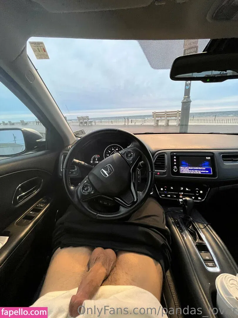 pandas_lover Onlyfans Photo Gallery 