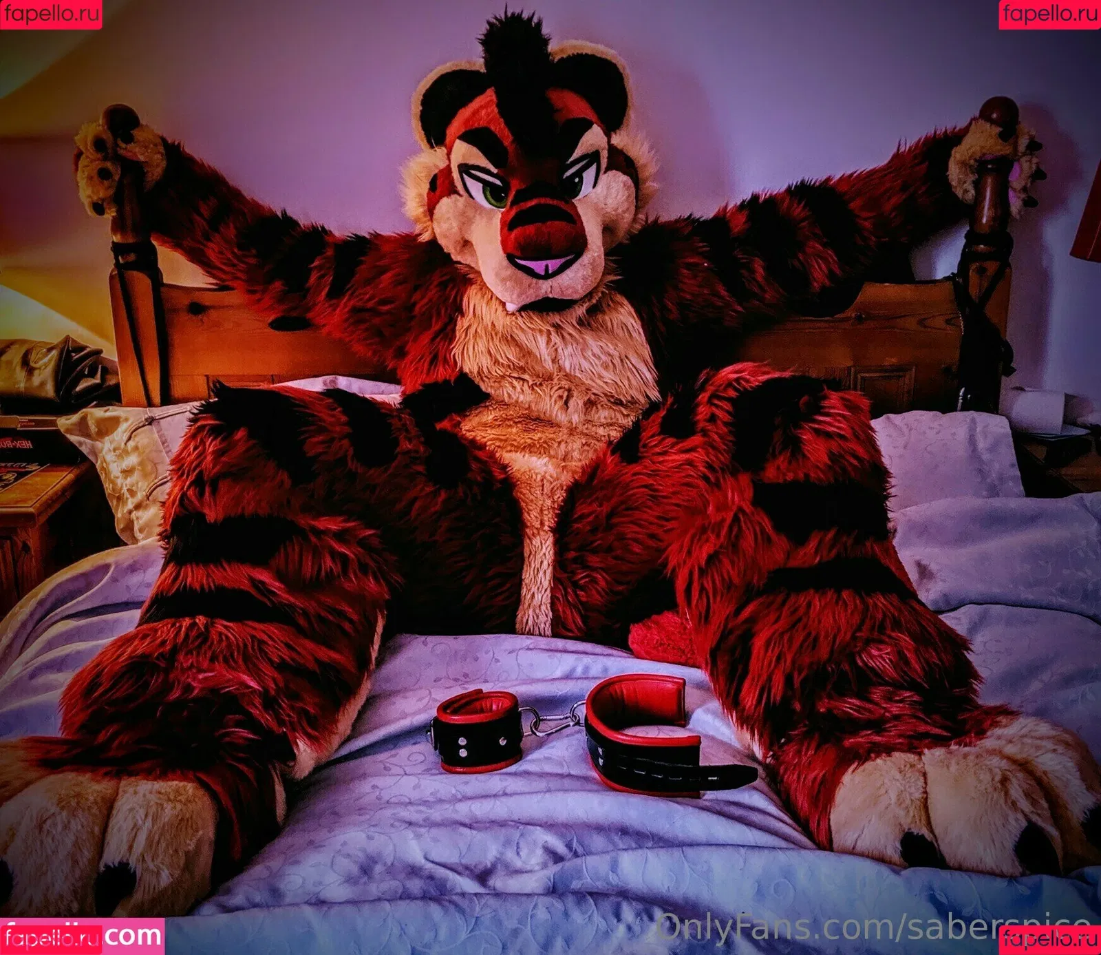 saberspice Onlyfans Photo Gallery 