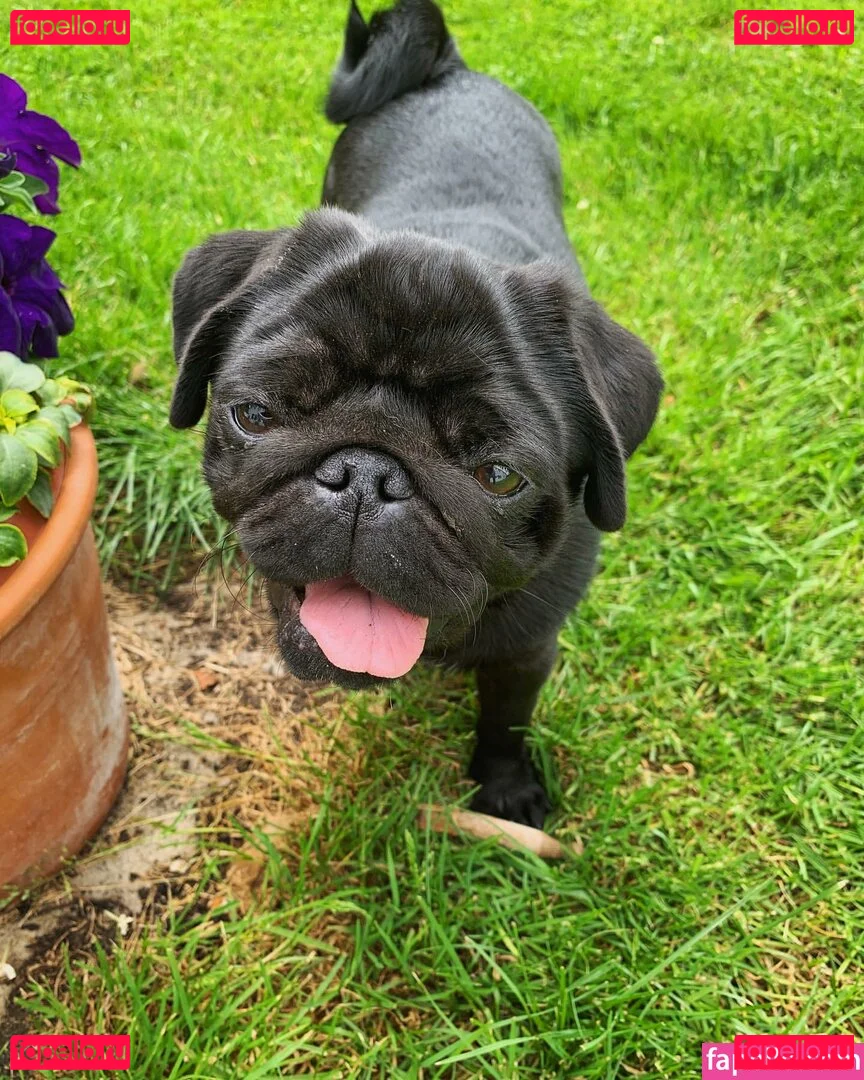 Emily Mather Onlyfans Photo Gallery 