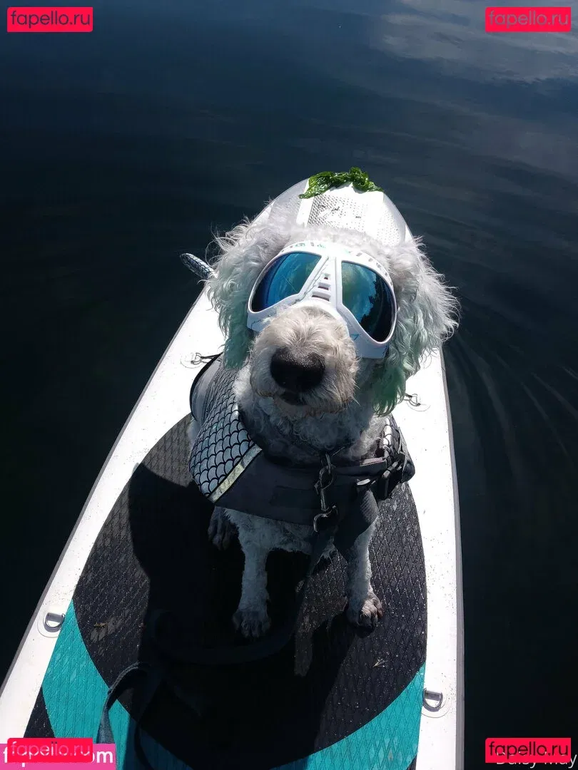 doitwithdaisy Onlyfans Photo Gallery 