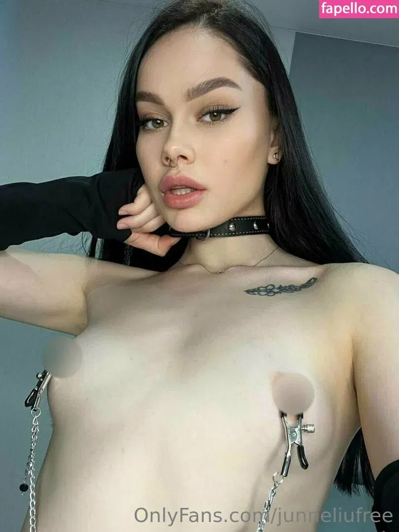 junneliufree Onlyfans Photo Gallery 