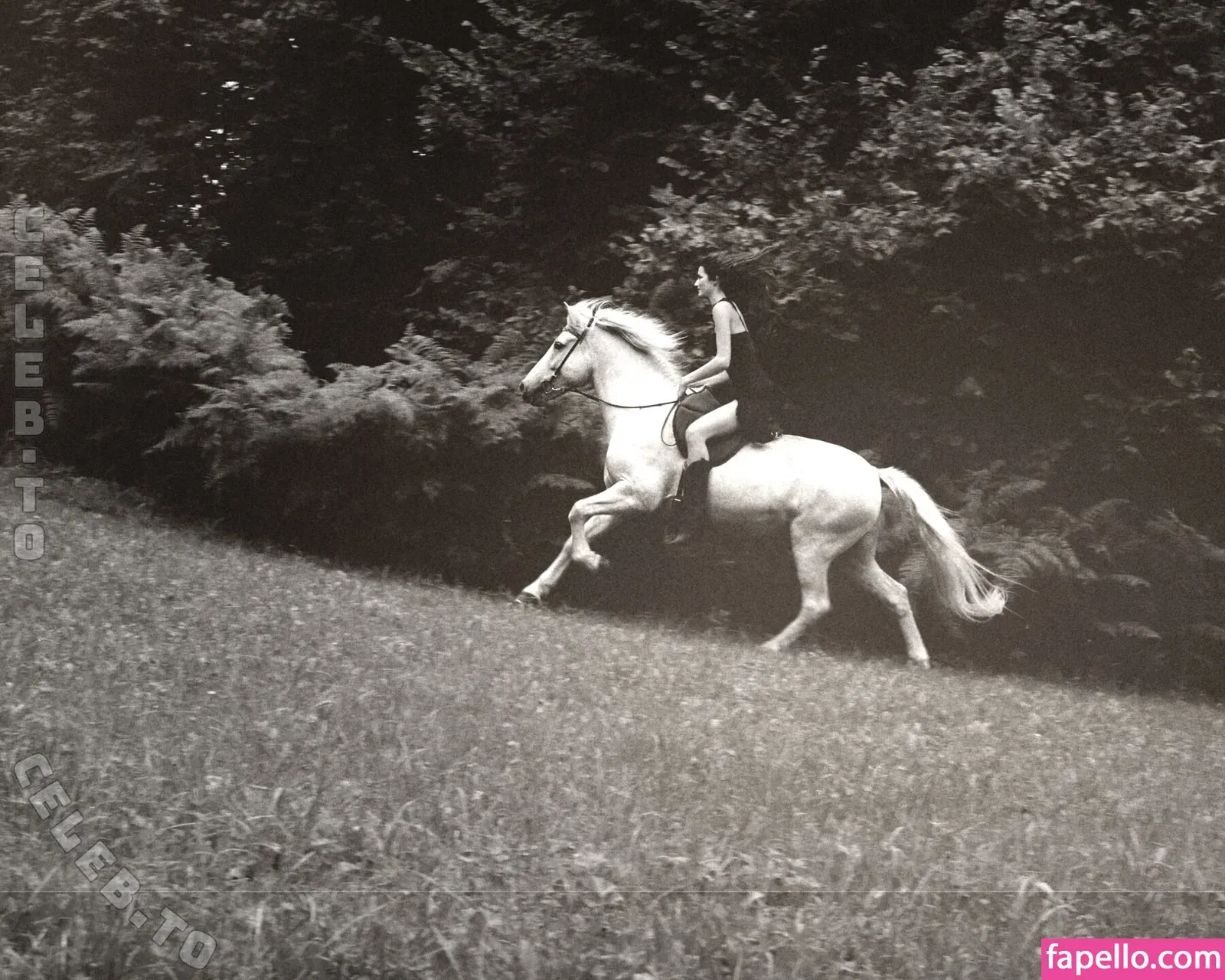 anfr00 Onlyfans Photo Gallery 