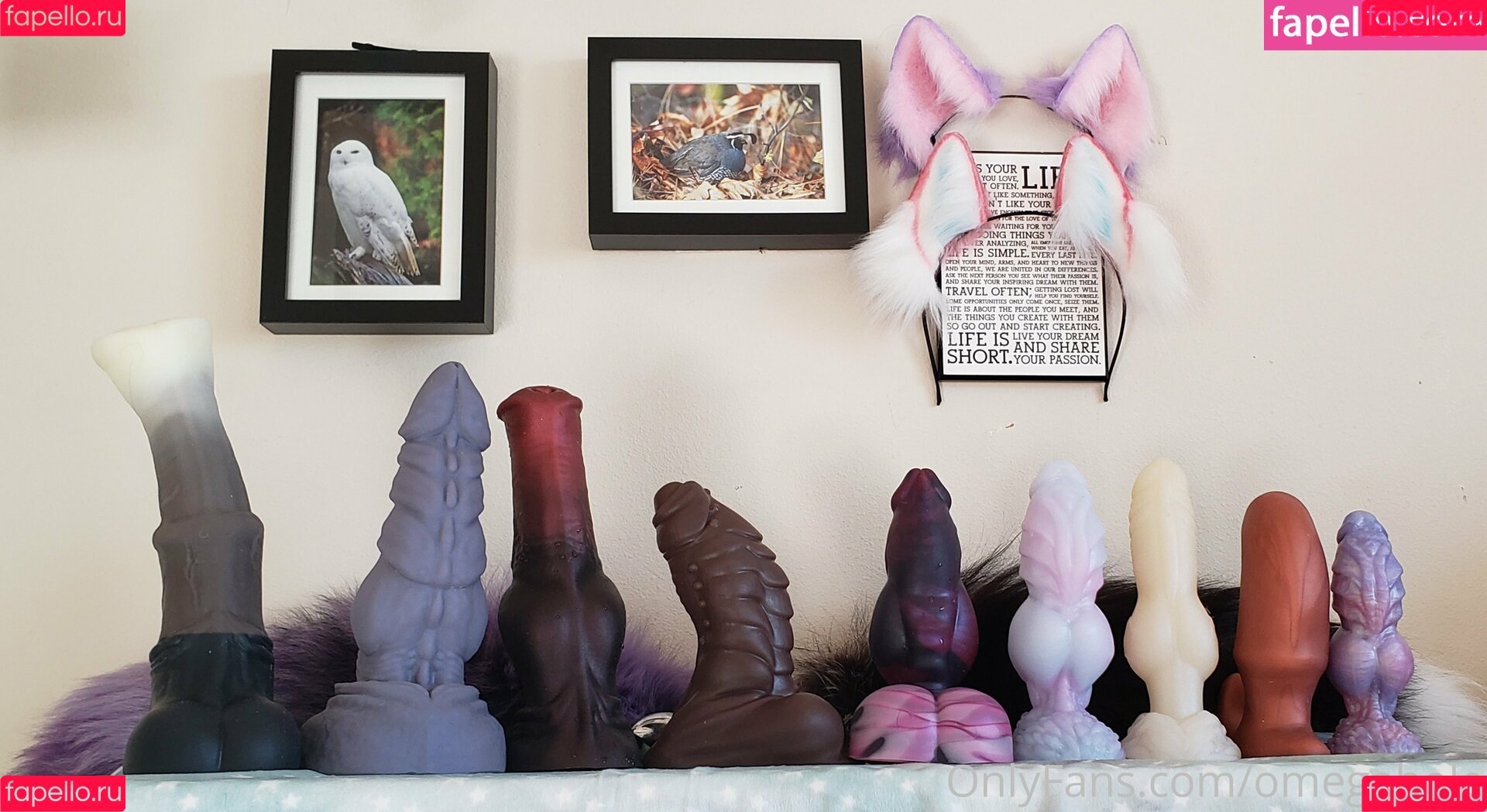 omegahole Onlyfans Photo Gallery 