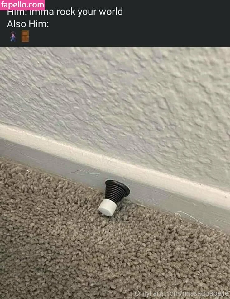 missaquabelle Onlyfans Photo Gallery 
