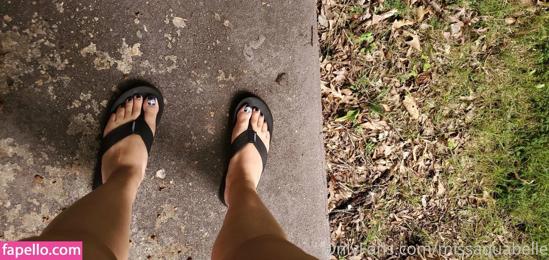 missaquabelle Onlyfans Photo Gallery 