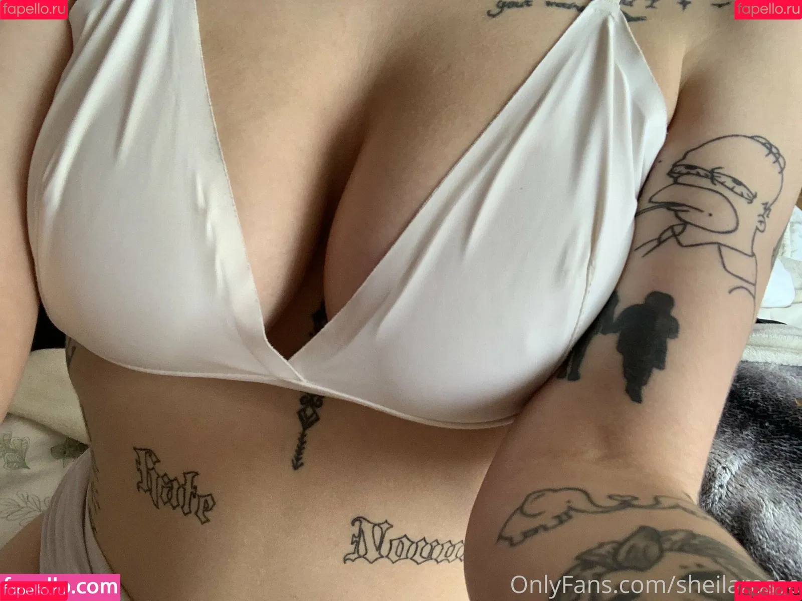 sheiseijas Onlyfans Photo Gallery 